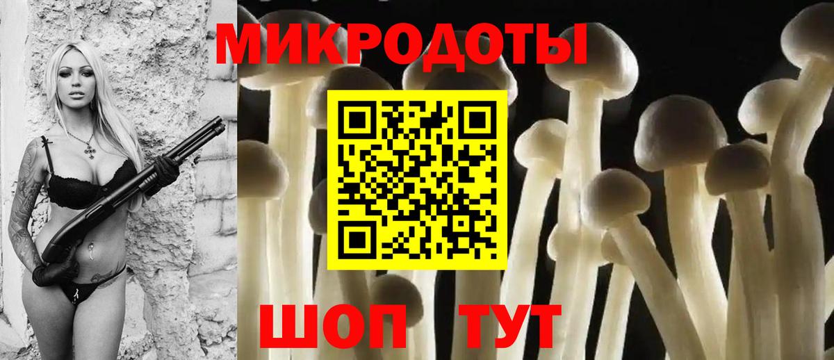 Псилоцибиновые грибы MAGIC MUSHROOMS  закладки  Галлюциногенные грибы мицелий  Миллерово  Вход с VPN 